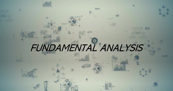 Applying fundamental analysis to make rational investment decisions ...